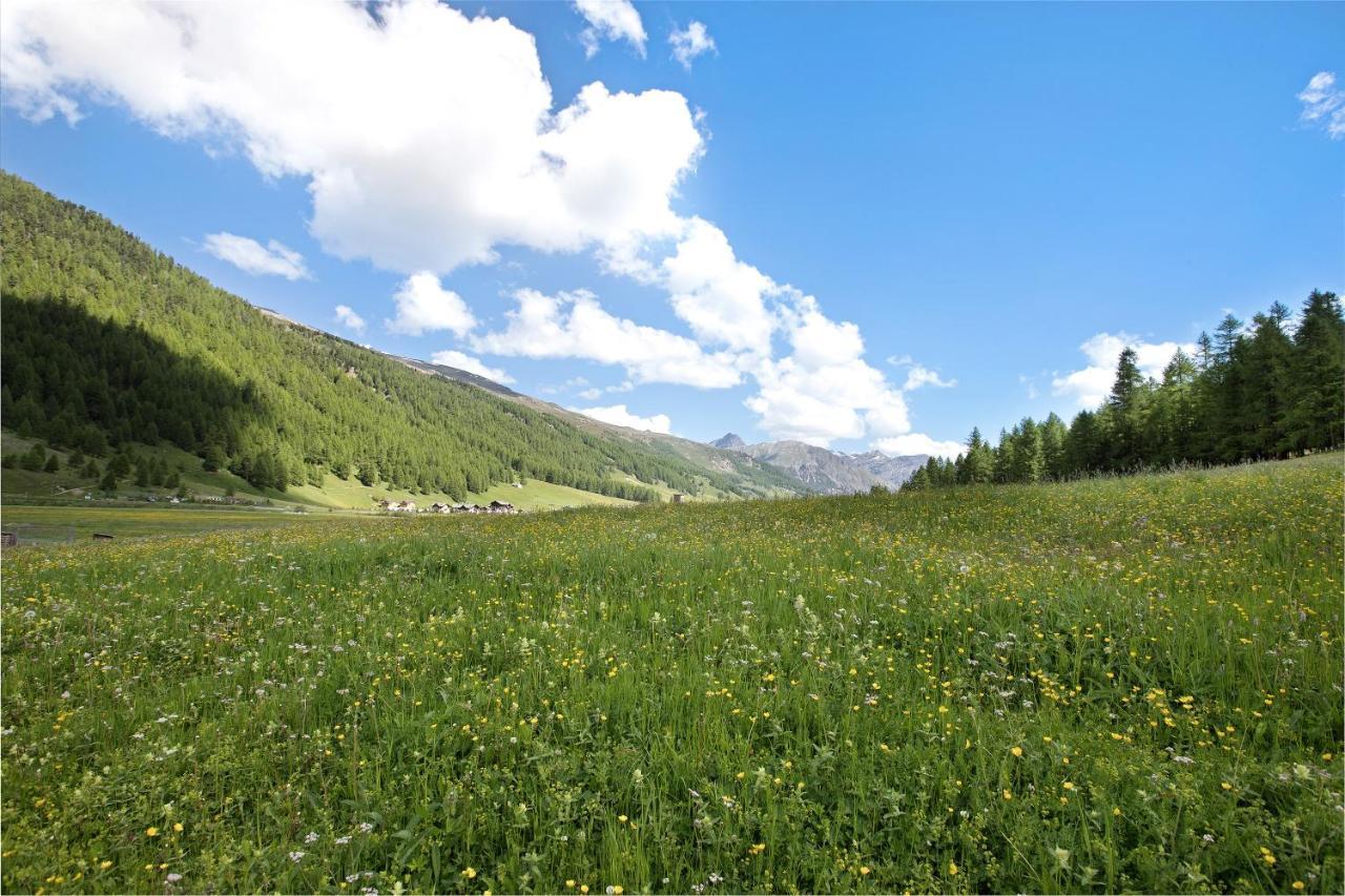 Апартаменты Agriturismo Bosco D'Oro 1 Ливиньо Экстерьер фото